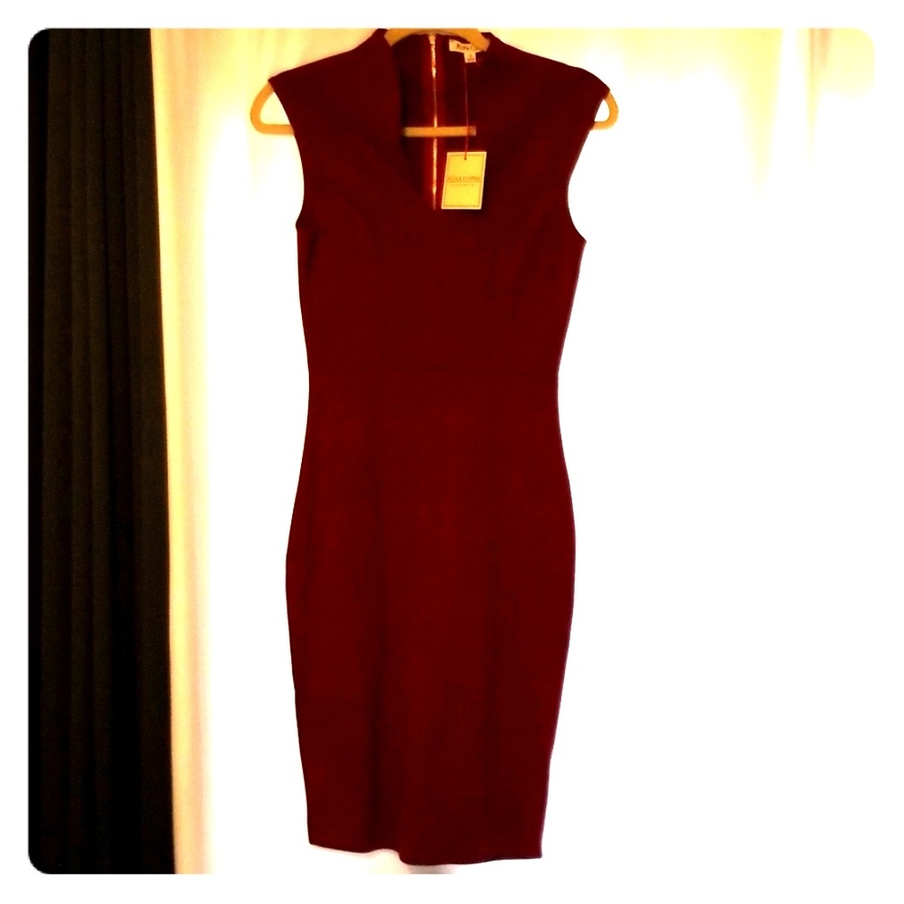 NWT Burgundy bodycon dress
